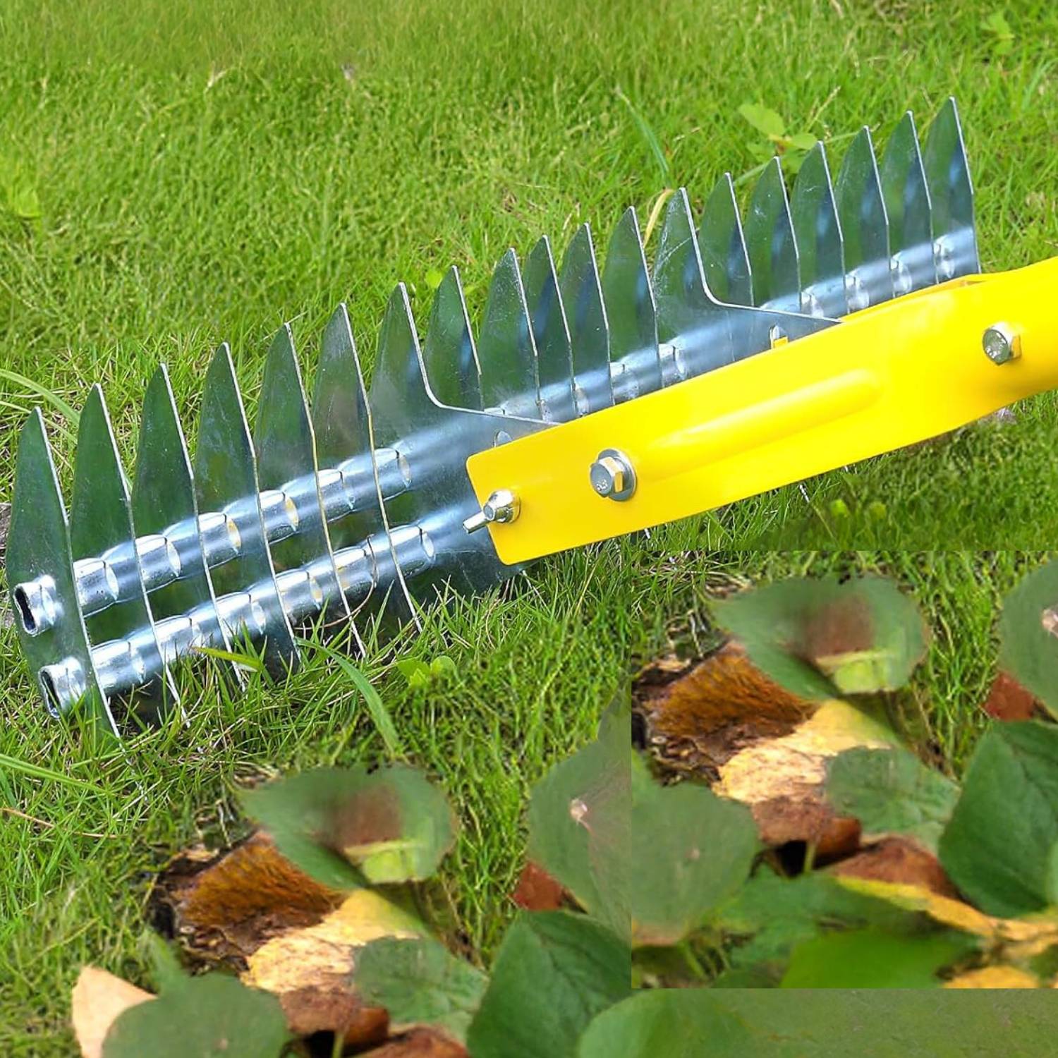 Grass dethatcher rake: image 1