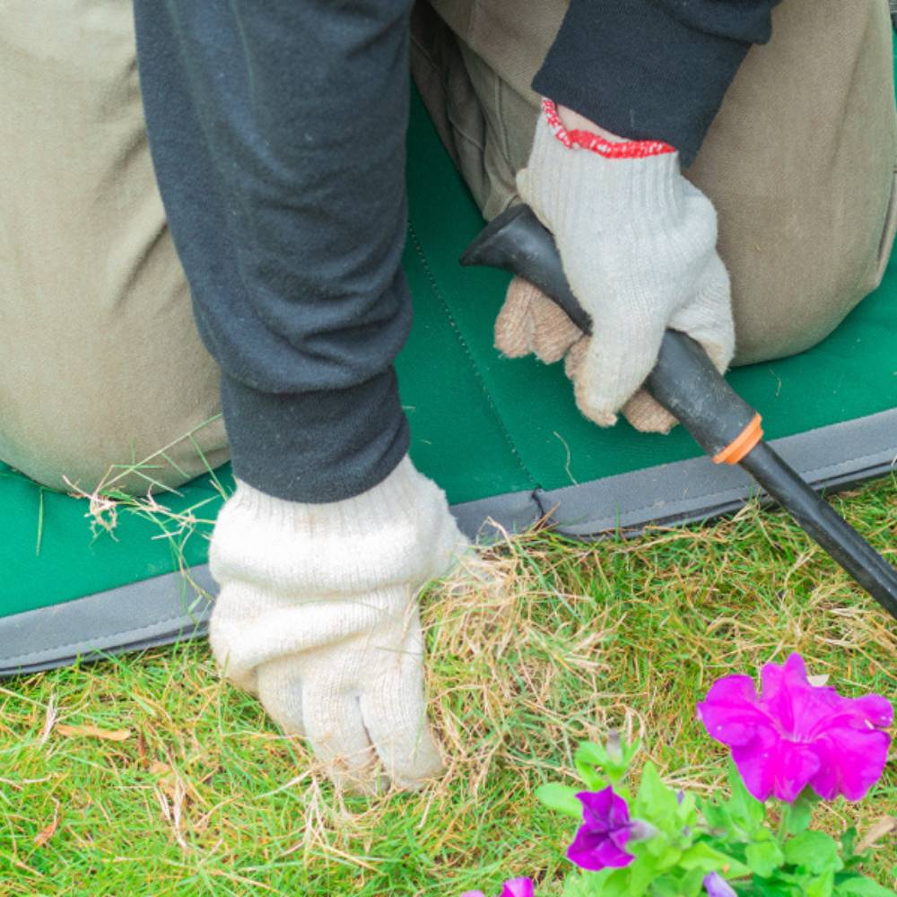 Garden kneeling pad: image 3