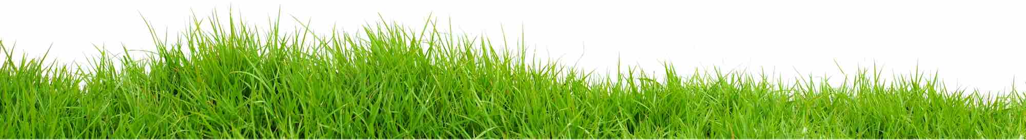 lawn products supplier